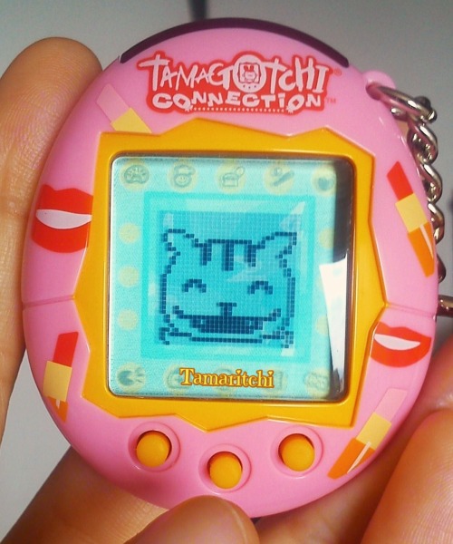 How to use a tamagotchi connection switch